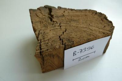 B-7396, Holz mit einem Alter von mehr als 50'000 Jahren